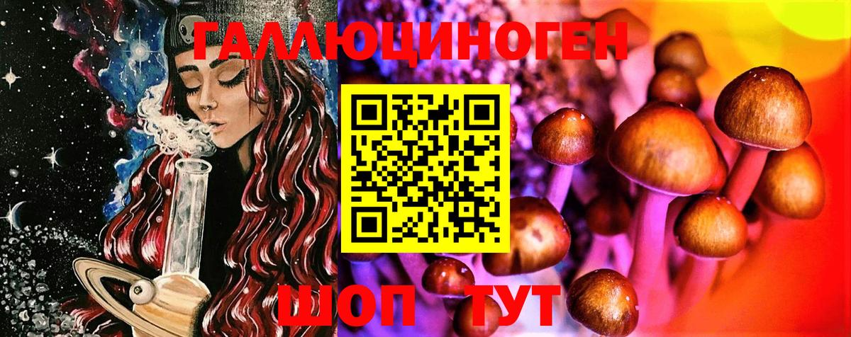 Галлюциногенные грибы Psilocybe Семилуки