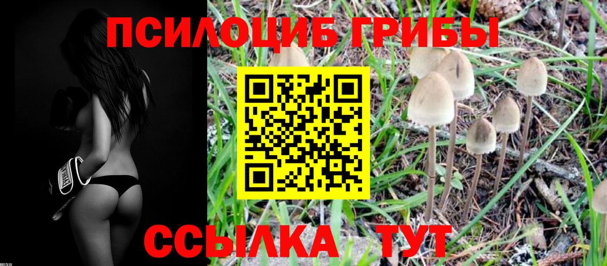 Галлюциногенные грибы мухоморы  Вход с VPN  Псилоцибиновые грибы MAGIC MUSHROOMS  Семилуки 